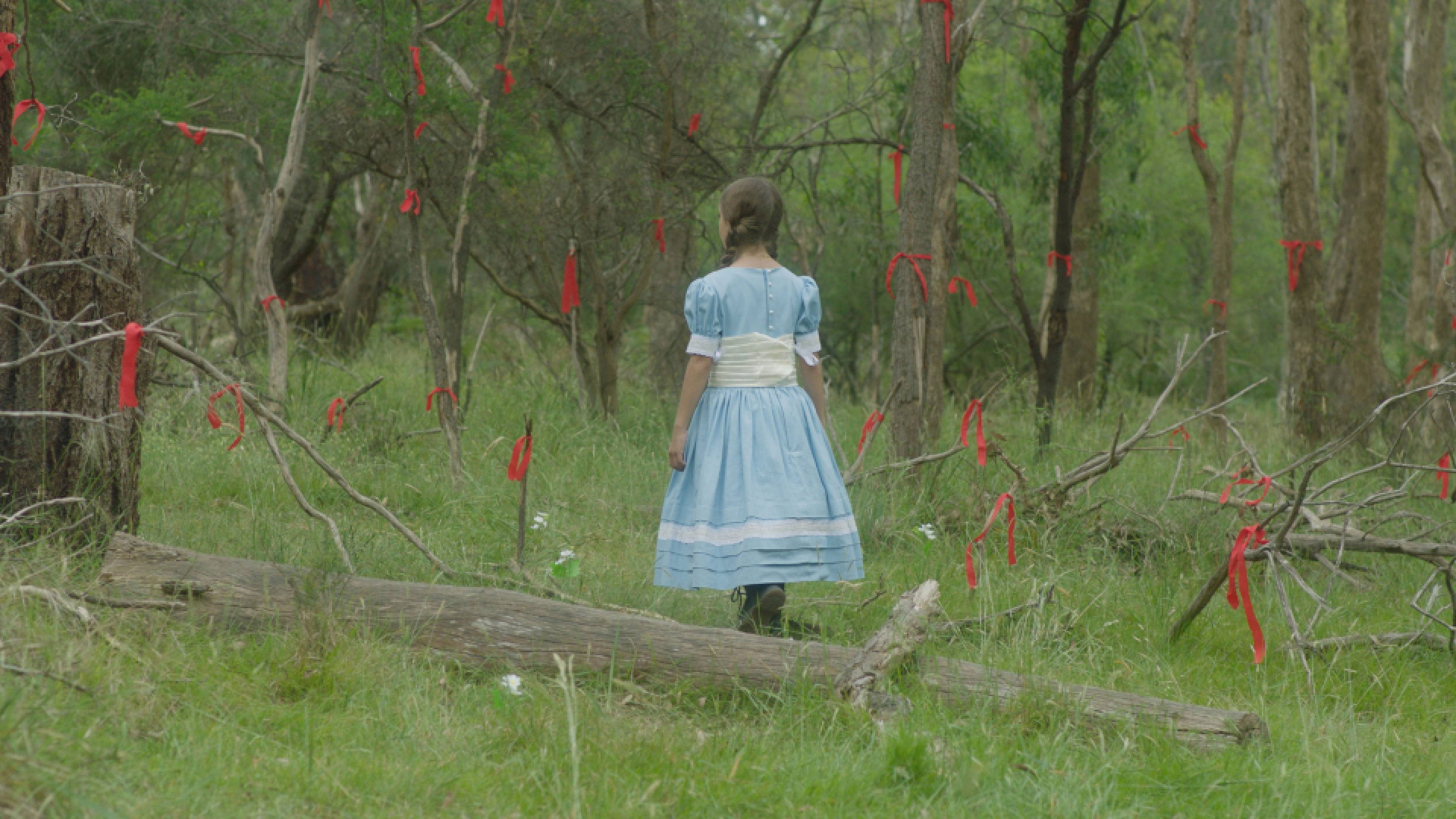 Following the Ribbon Trail