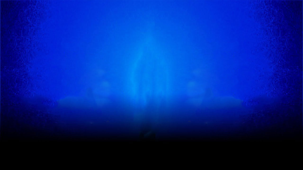 The COVID Experience