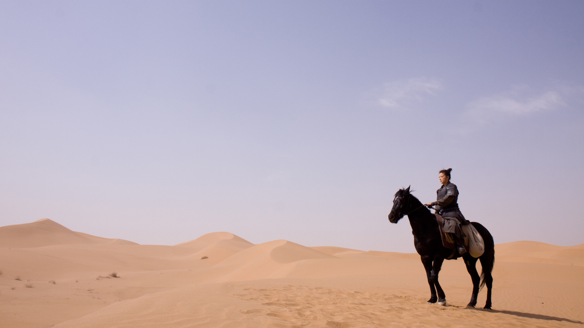 Mulan: Rise of a Warrior