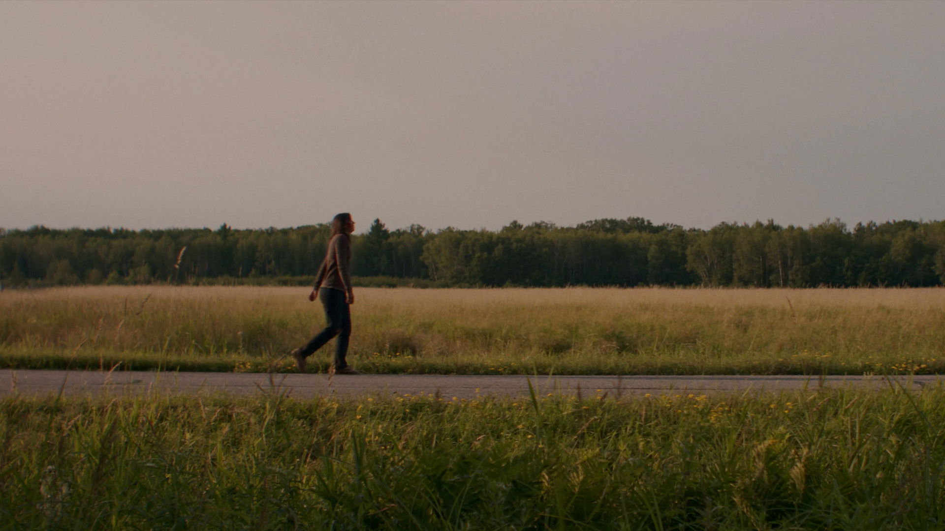 Blossom Needs A Ride Home