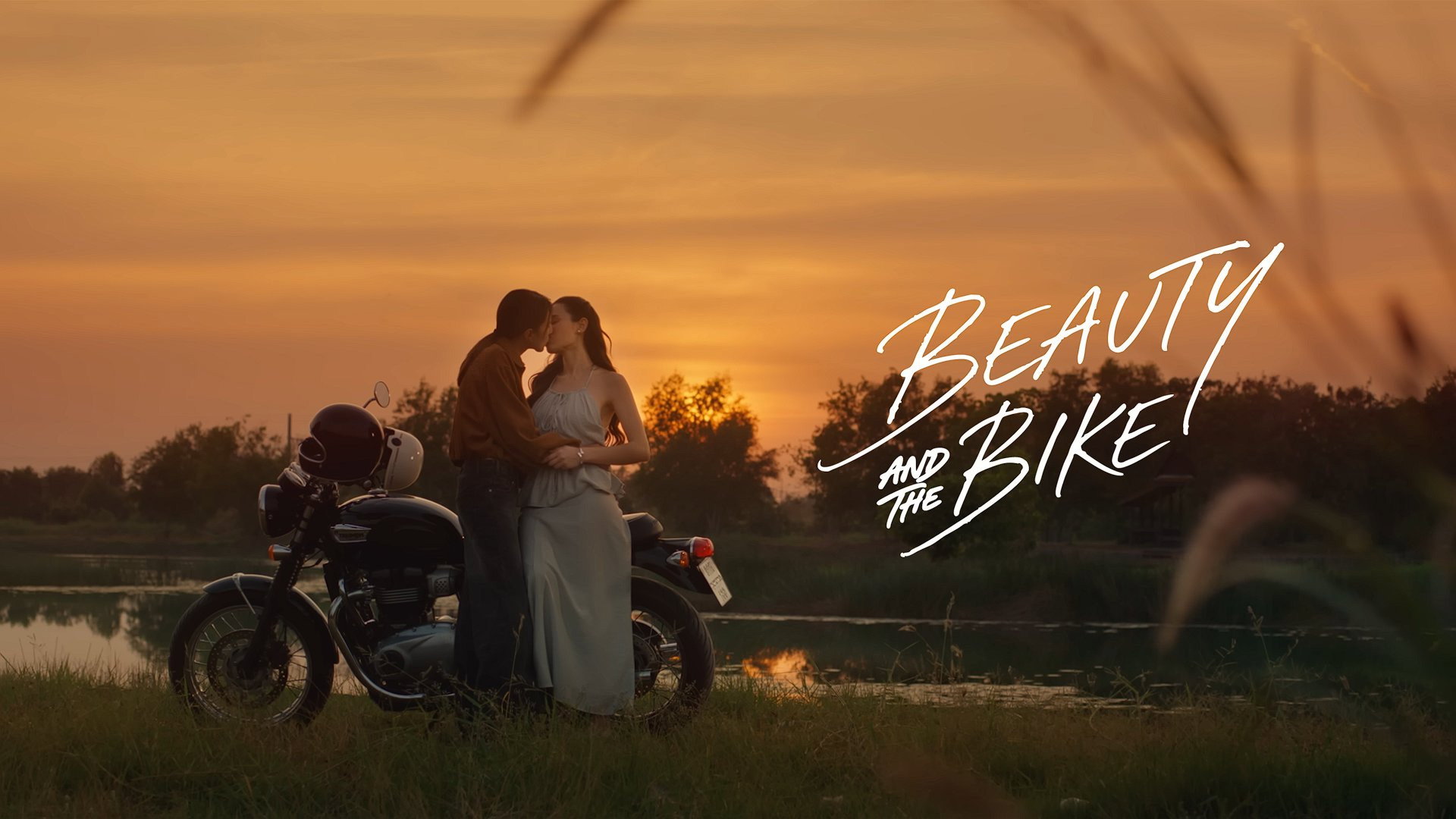 Beauty and the Bike