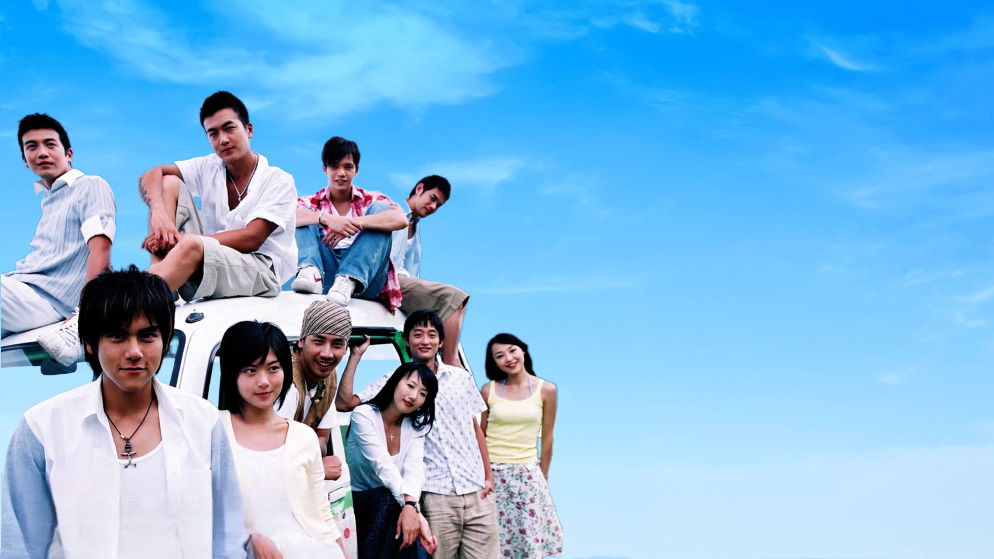 When Dolphin Met Cat