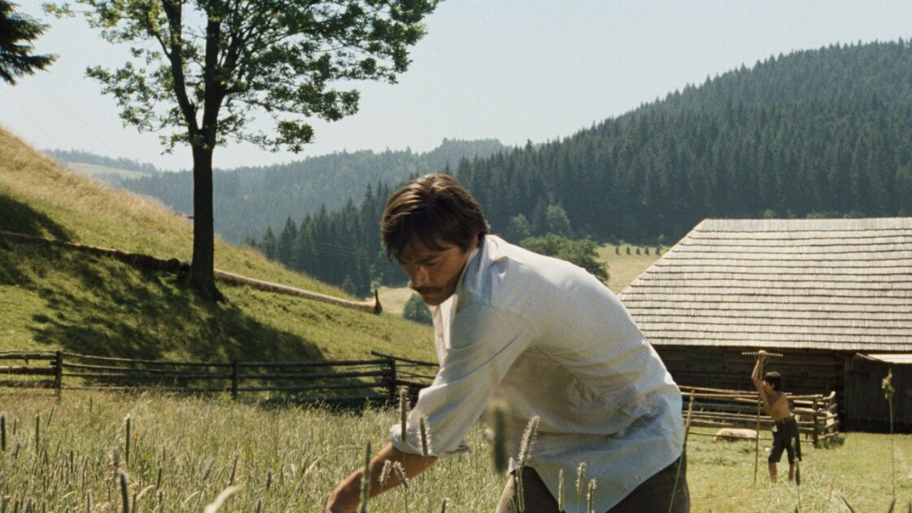 Shadows of a Hot Summer