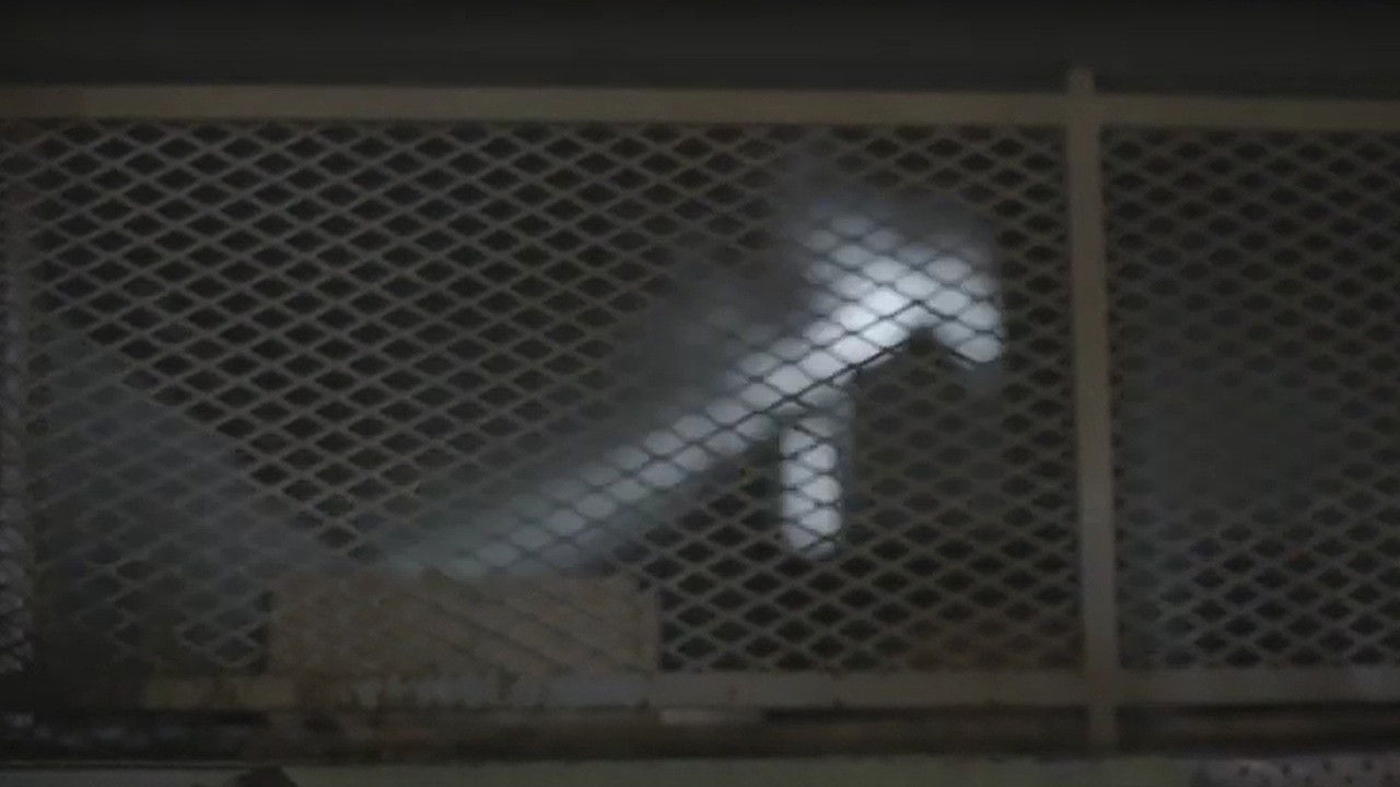 Érase una vez en Virreyes