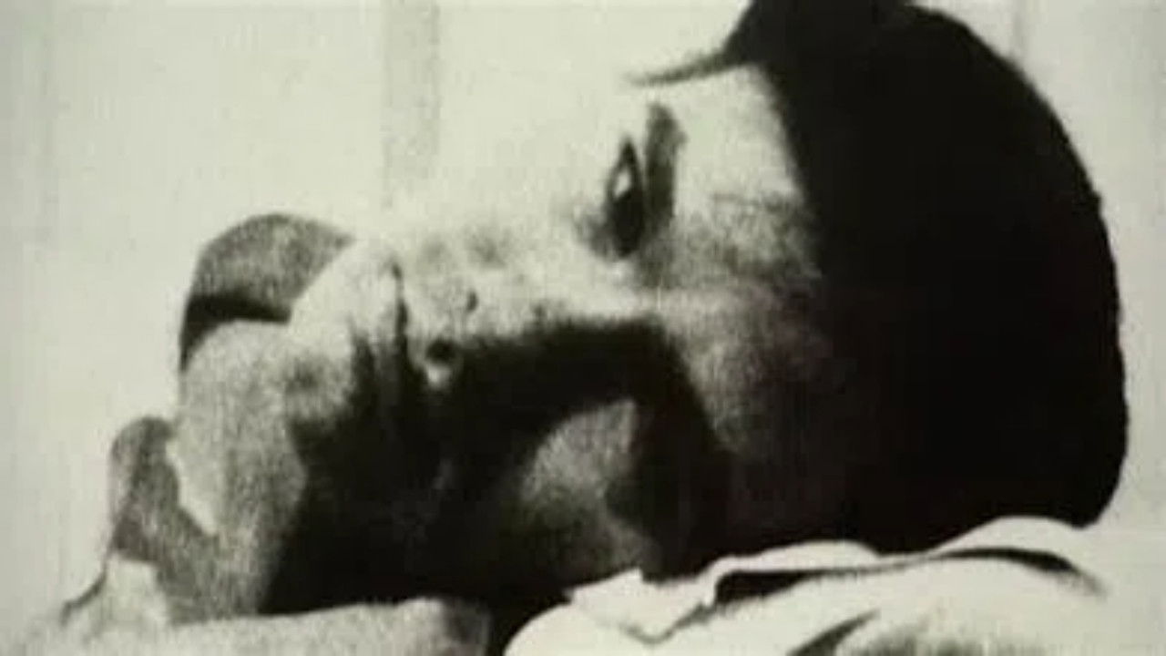 Vies et morts d'Andy Warhol