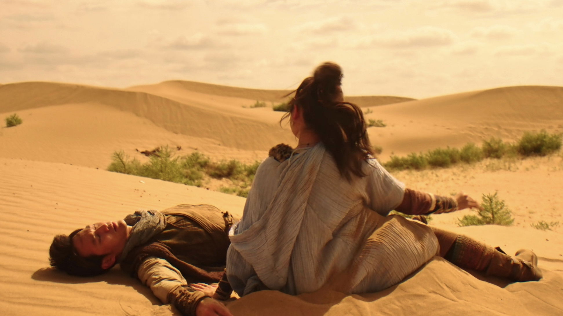 The Guardians of Zhu Yin