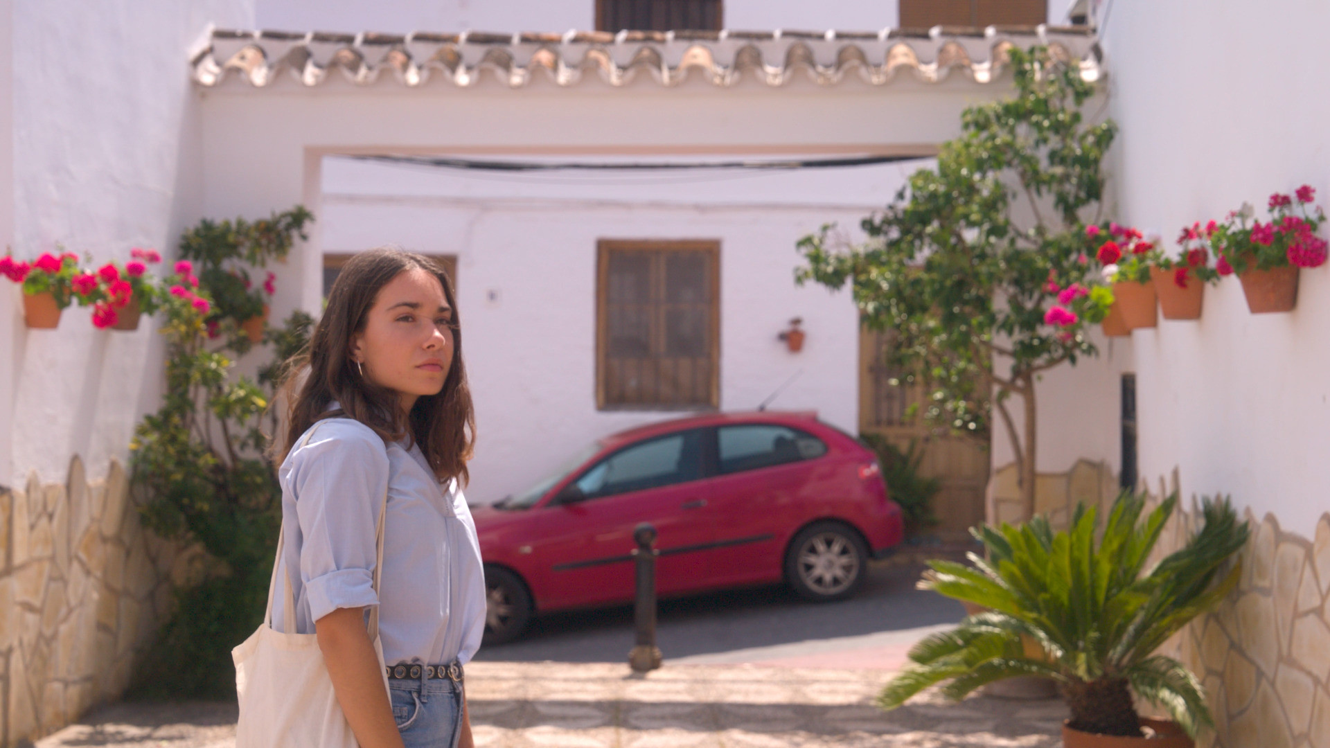 Estoy buscando un perro