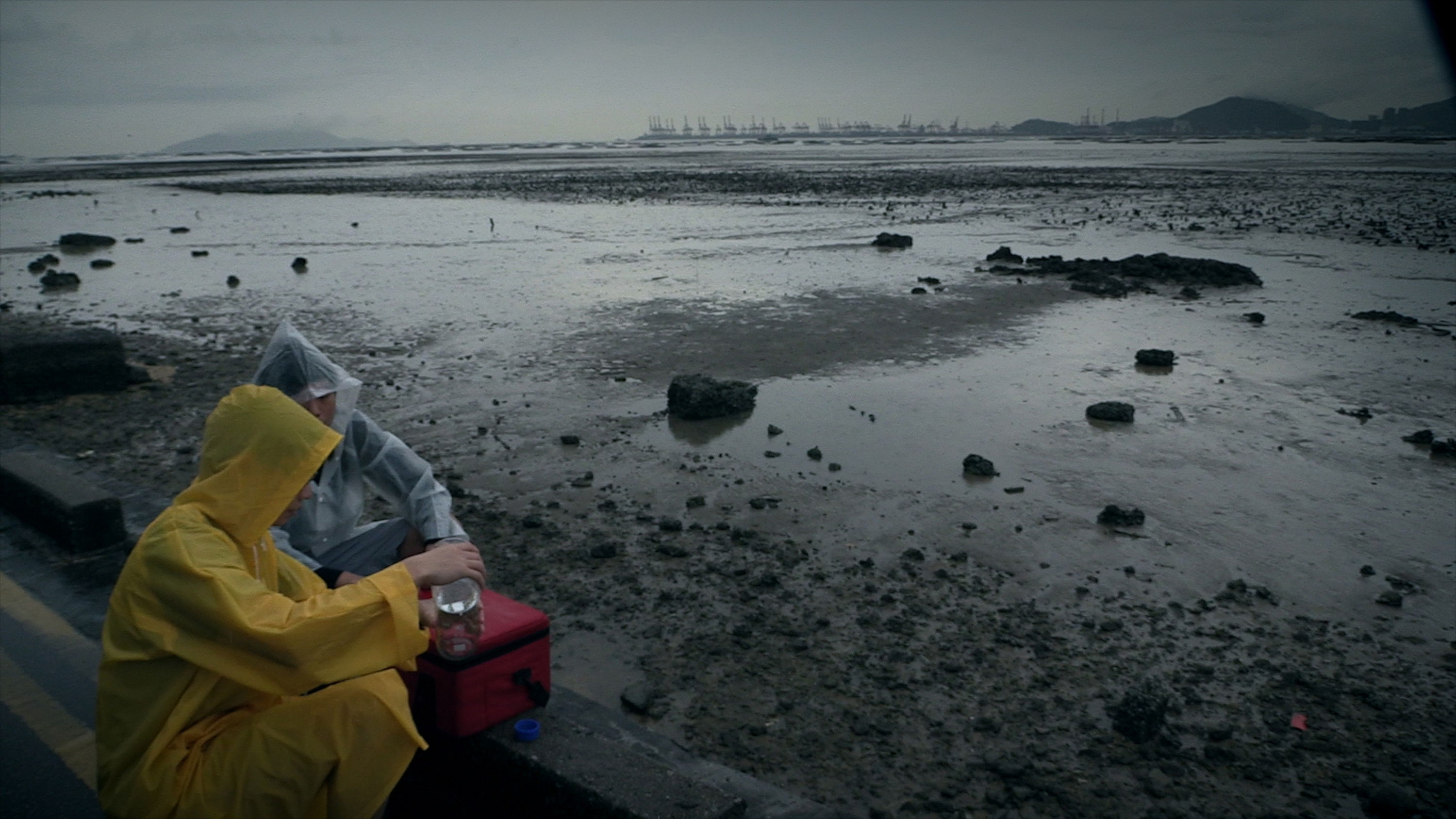 Being Rain: Representation and Will