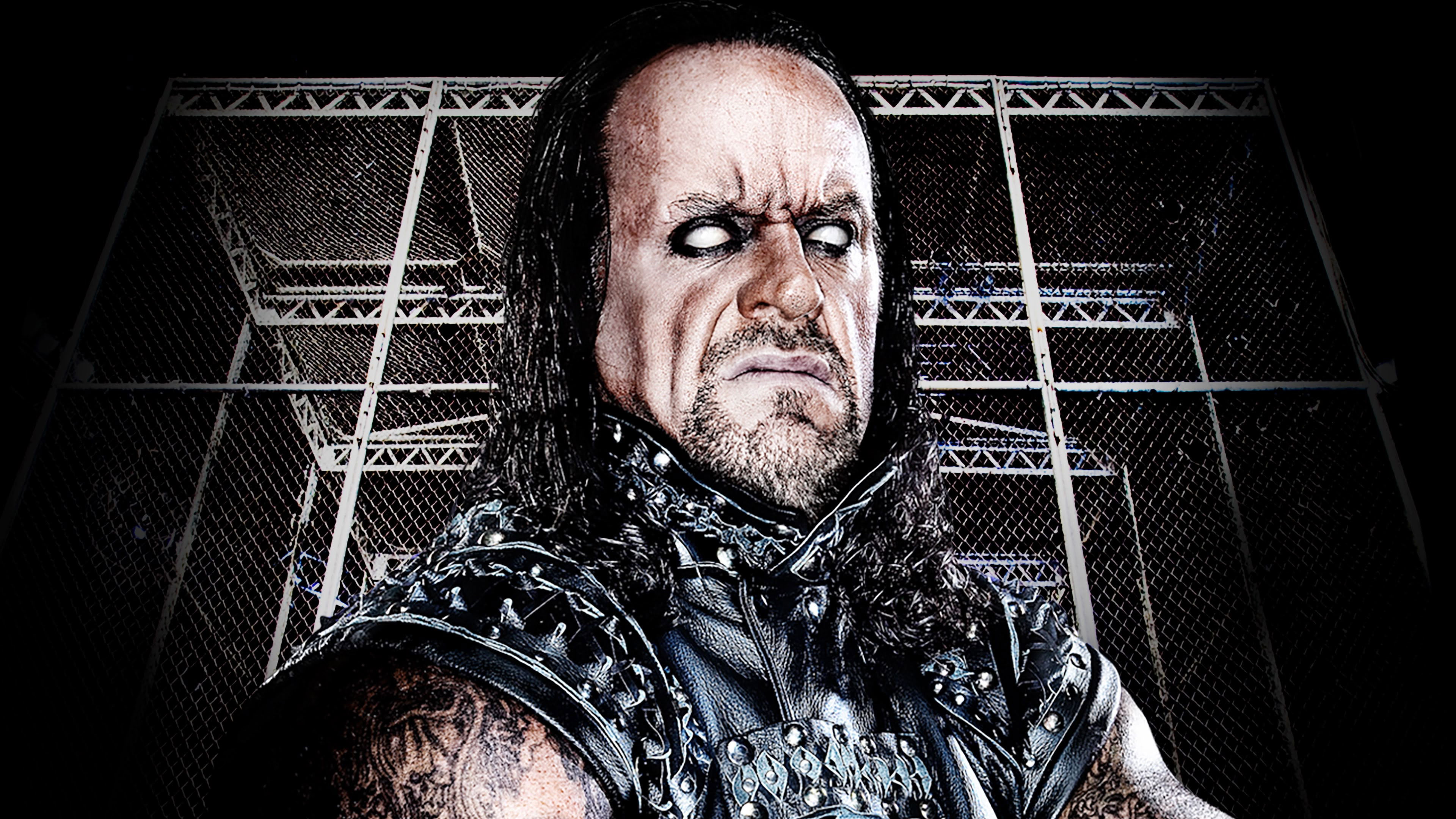 WWE Hell In A Cell 2010