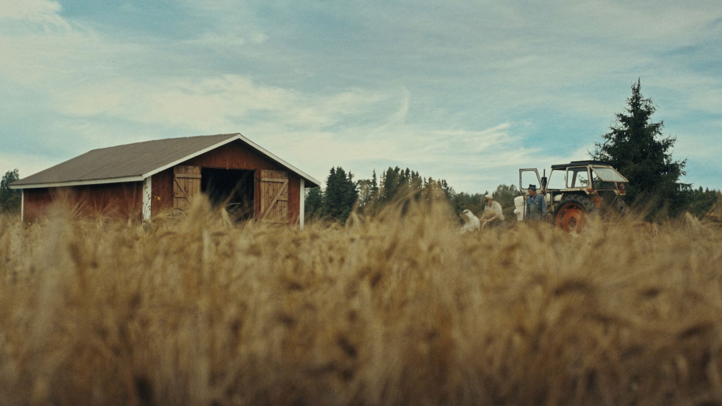 Timo: the Lord of Potato