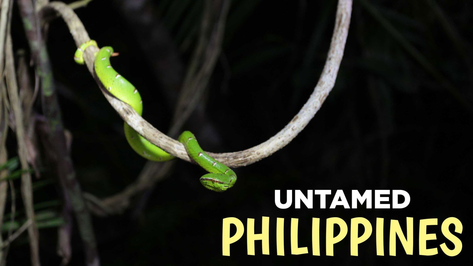 Untamed Philippines