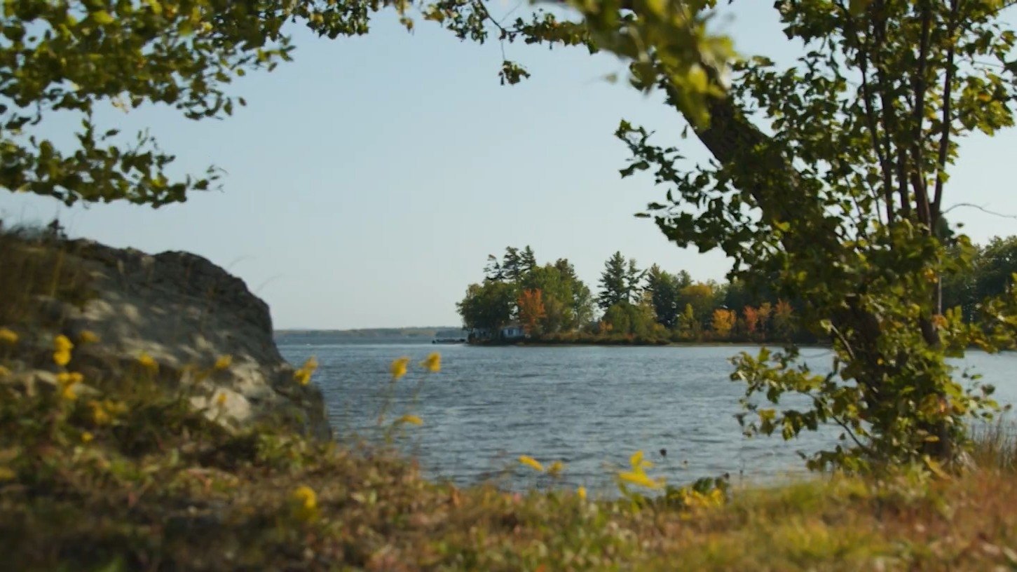 That Feeling, You Can Only Say What It Is In French