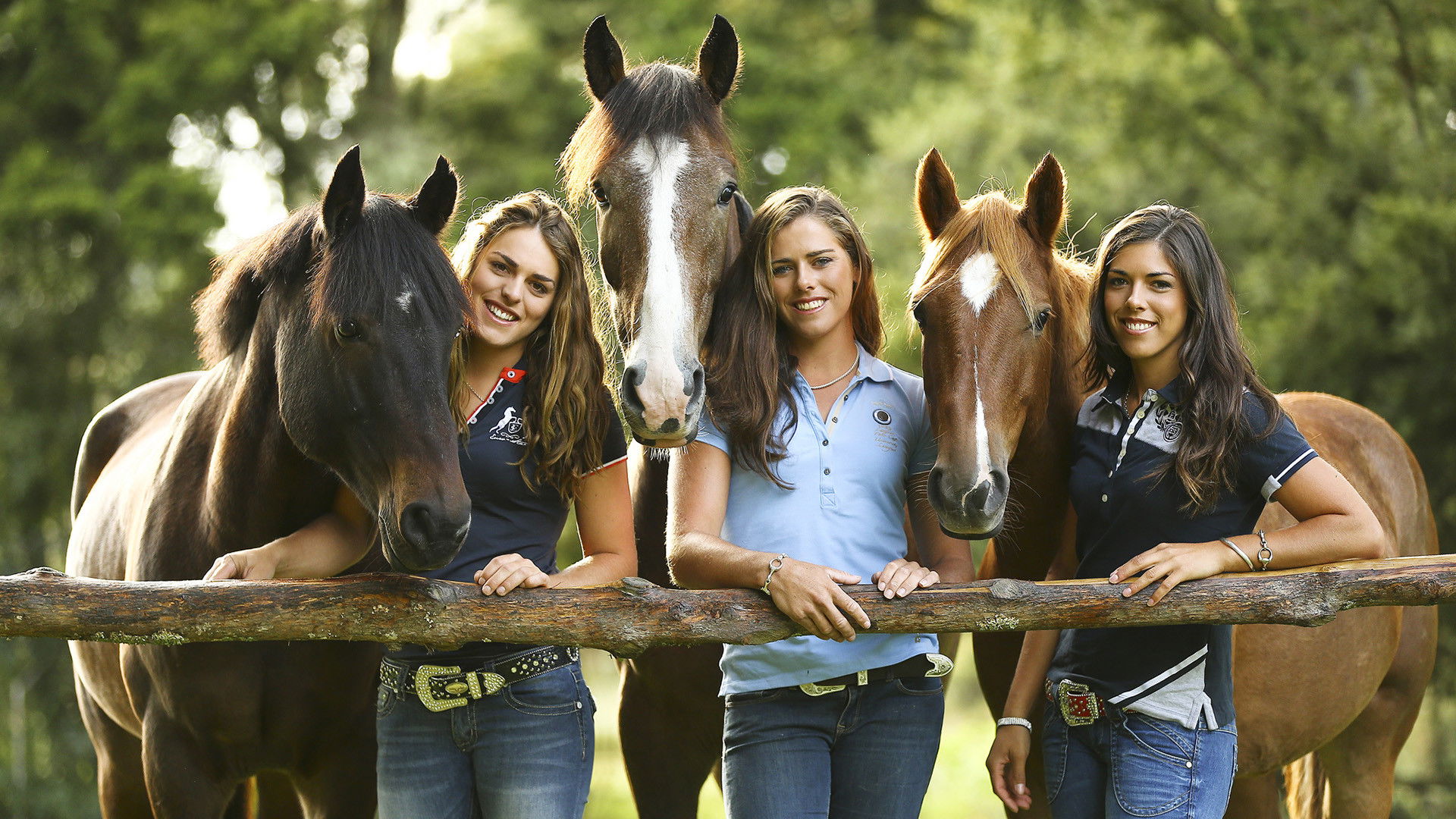 Keeping Up With The Kaimanawas