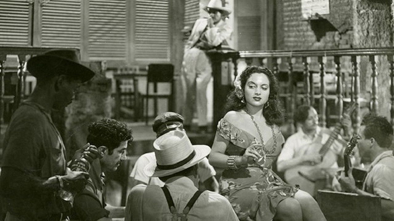 The Yacht Isabel Arrived This Afternoon