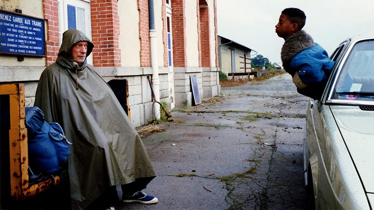 IP5: The Island of Pachyderms