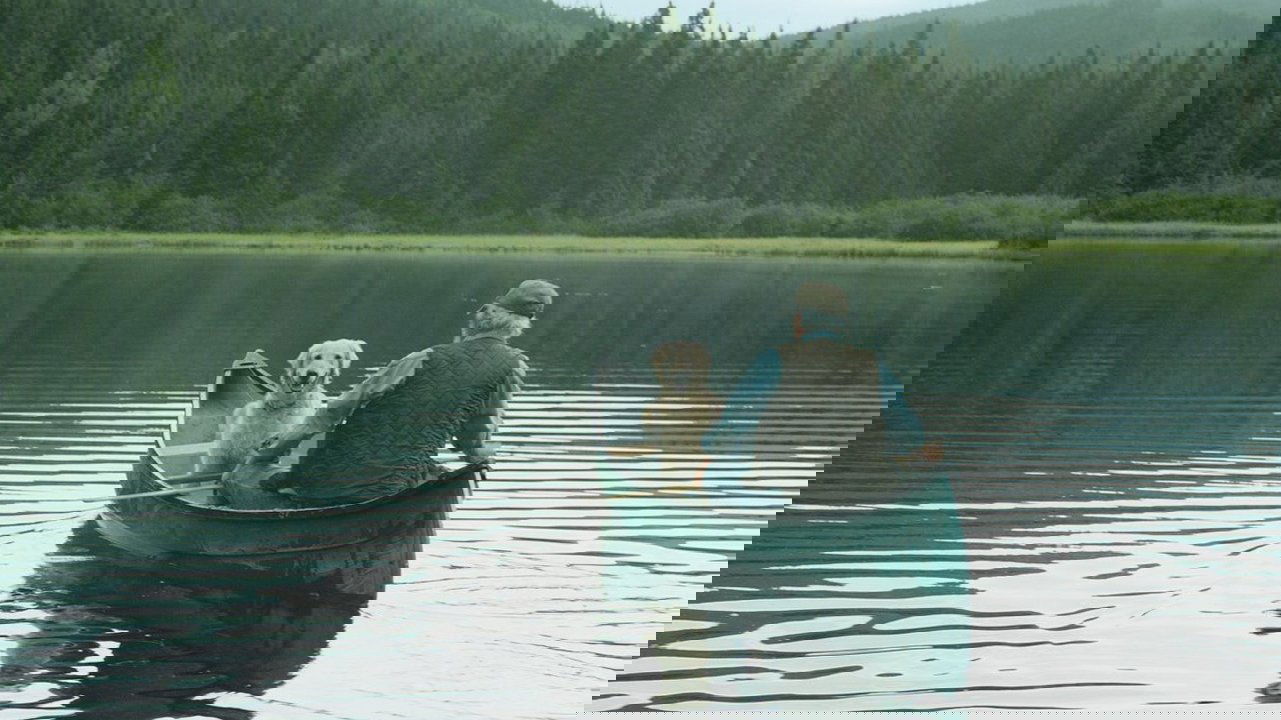 And the Birds Rained Down