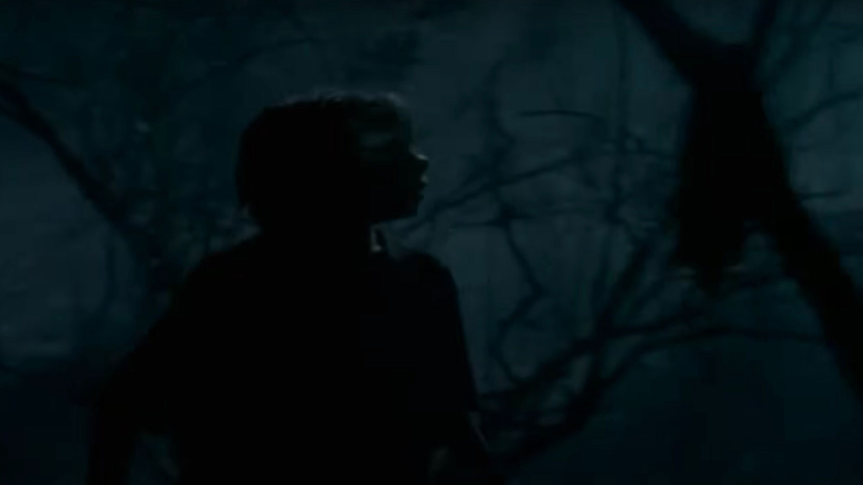 Goosebumps: The Werewolf of Fever Swamp