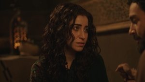 The Sultan’s Vizier