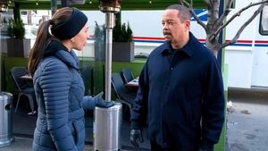 Our Words Will Not Be Heard