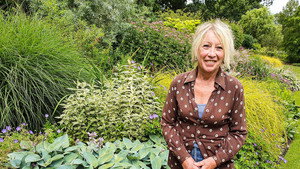Beth Chatto Gardens