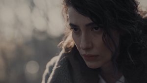 A Plan for the Night