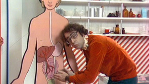 The food we eat - where does it go?