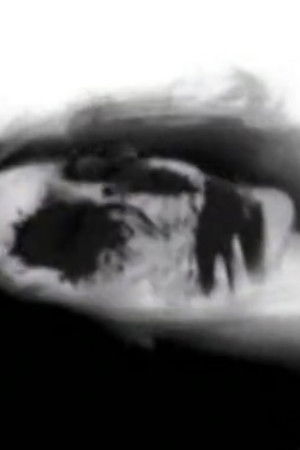 Cinderella Valentine