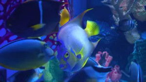 Brace Yourself for Employee of the Month