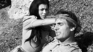 He Learned About Women