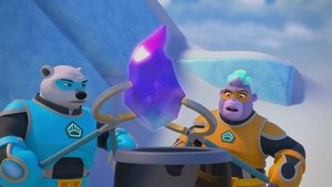 Free Prize in Every Box