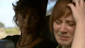 You Can't Eat Scenery