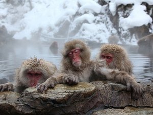 Japan: Island of Extremes