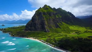 Hawaiian Island Treehouse Adventure