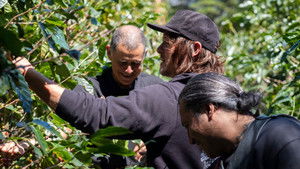 Costa Rica with Dom Rocket