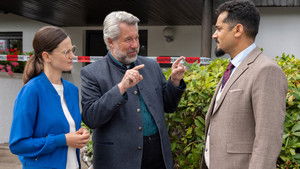 A brilliant business