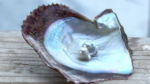 Ise-Shima: Timeless World of Pearls