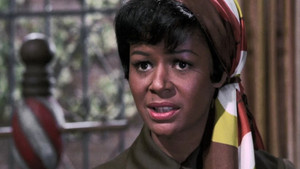 A Ticket to the Eclipse