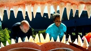 PoV #10 & Eviction #10 & HoH Comp #11