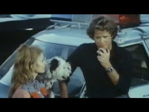 Night Train to Dallas