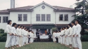 7 Straight!! Necessary The Shooting Fist Of The Hell