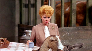 Lucy Discovers Wayne Newton