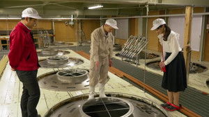 Immerse yourself in Japanese sake in Kanazawa