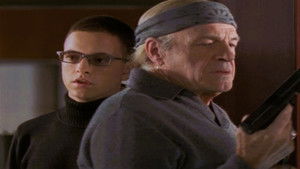 Into the Looking Glass