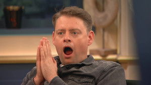 Raccoon, cow and cat