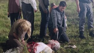 Judge, Jury, Executioner