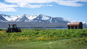 Flatey in Skjálfandaflói