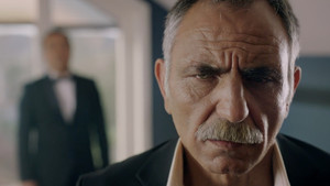 The Wolf Returns to Its Den