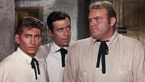 The Magnificent Adah