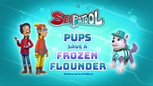 Sea Patrol: Pups Save a Frozen Flounder
