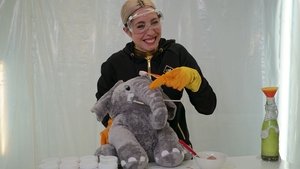 Science All Your Life